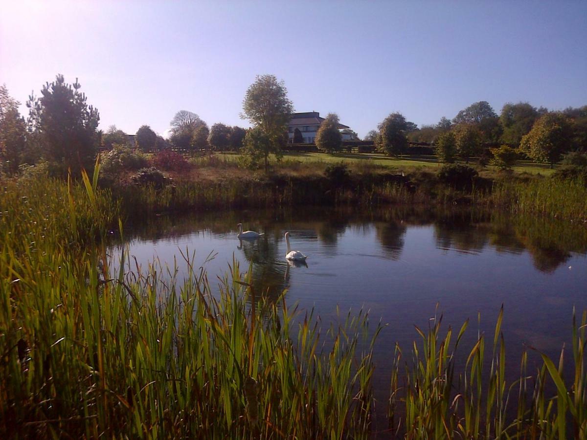 Hazelwood Country House Bed and Breakfast Adare Exteriör bild